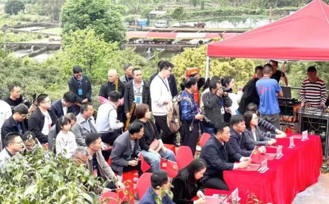 关于平乐县青龙乡首届采茶节活动丰富多彩的资讯(2)