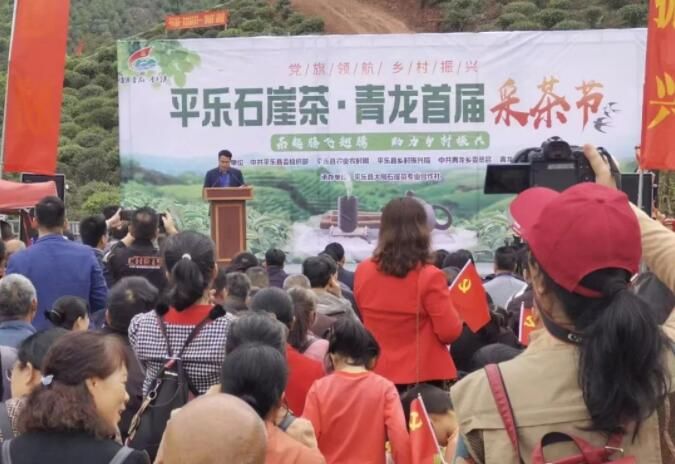 关于平乐县青龙乡首届采茶节活动丰富多彩的资讯