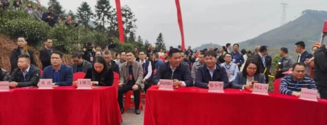 关于平乐县青龙乡首届采茶节活动丰富多彩的资讯(1)