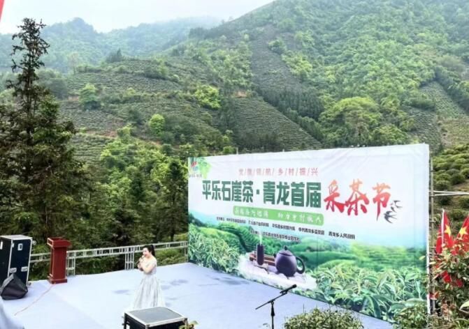 关于平乐县青龙乡首届采茶节活动丰富多彩的资讯(11)