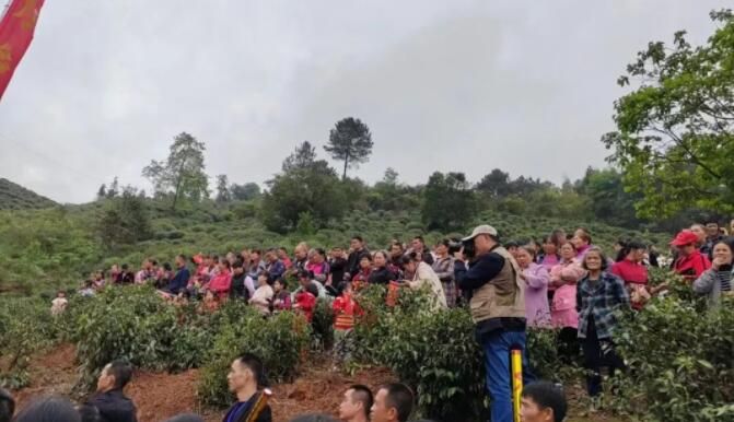 关于平乐县青龙乡首届采茶节活动丰富多彩的资讯(13)