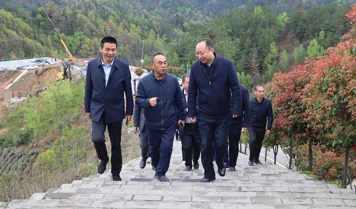 关于2023年陕西省茶产业技术体系工作座谈会在商南召开的相关内容(1)