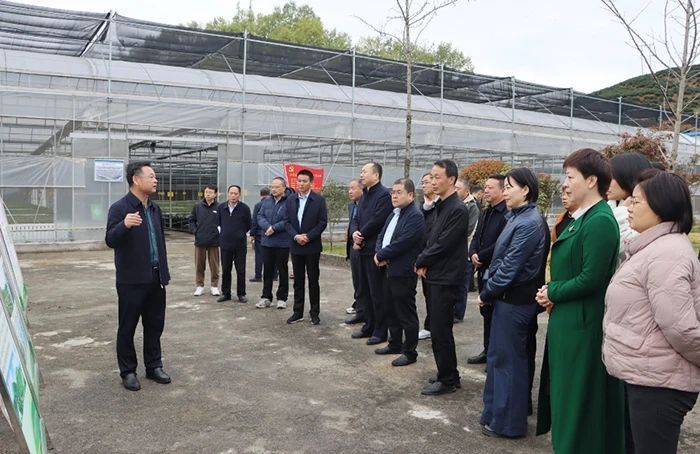 关于2023年陕西省茶产业技术体系工作座谈会在商南召开的相关内容(2)