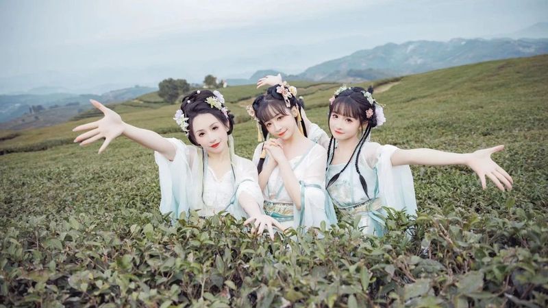 关于官方整活儿：福鼎茶旅宣传片《仙都梦茶》重磅上线！茶旅卷起来吧~的最新消息(3)