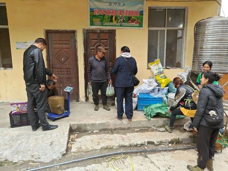 有关于咱利村：激活茶产业新动能 促进乡村产业振兴的信息(3)