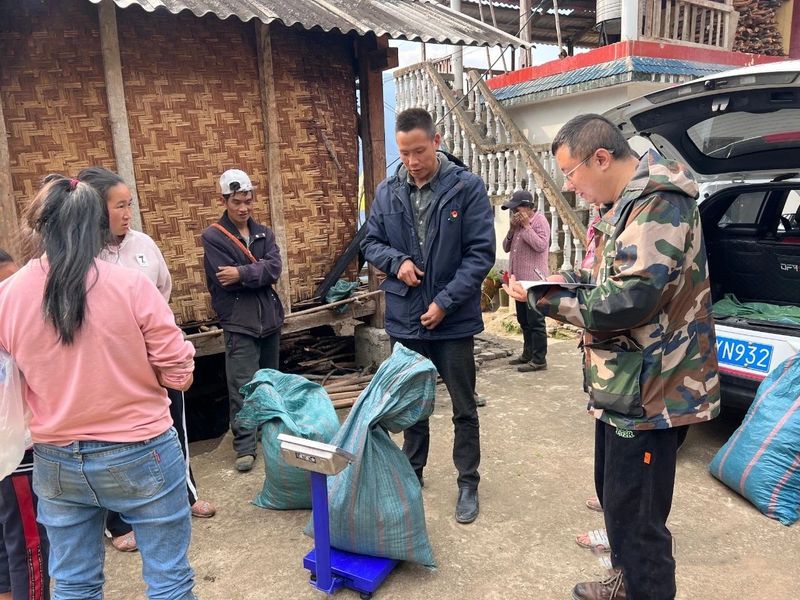 有关于咱利村：激活茶产业新动能 促进乡村产业振兴的信息(5)