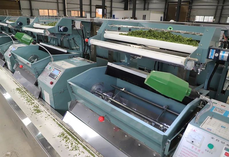 有关于一片叶富一方民 镇宁自治县茶产业发展见闻的内容(5)