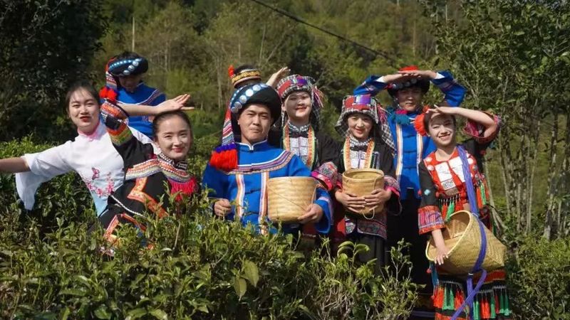 关于临沧茶·尊天下  茶旅就是一个新风口的相关内容(5)