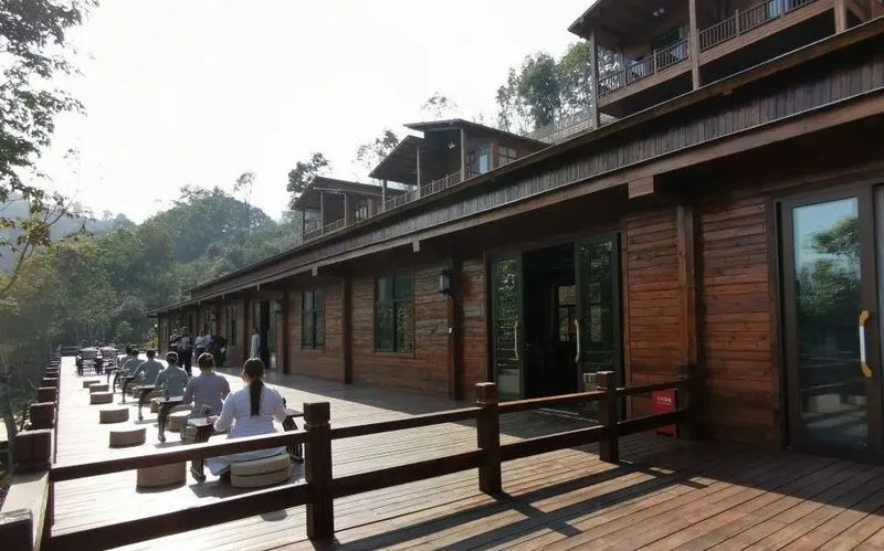 关于临沧茶·尊天下  茶旅就是一个新风口的相关内容(1)