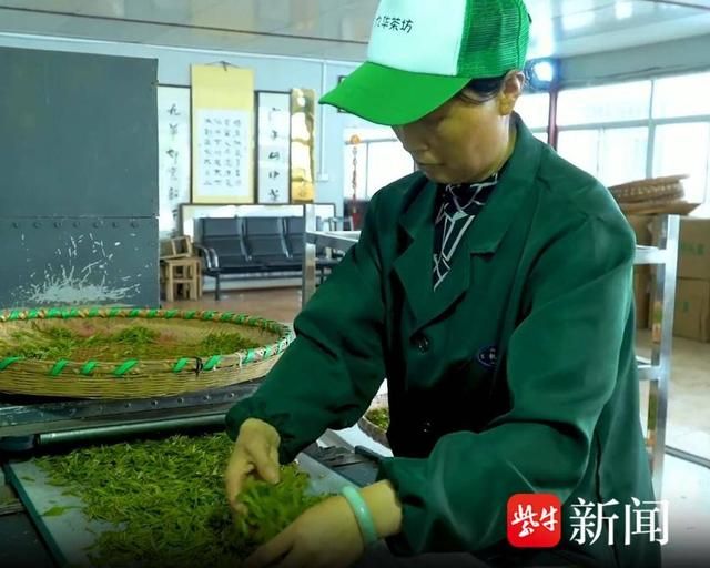关于疫情结束后的第一个春茶季，看茶农们抢“鲜” 采摘春茶第一芽的相关信息(3)