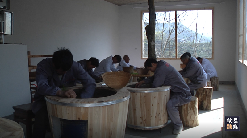 有关于歙县三阳镇岭脚村：手制大方茶 香飘清凉峰的相关内容