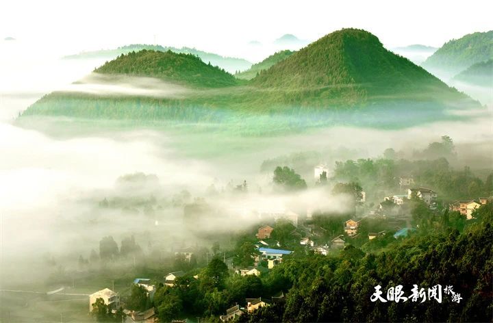 关于春游贵州，遵义凤冈茶海之心景区梦幻清晨美图来袭的相关内容(3)