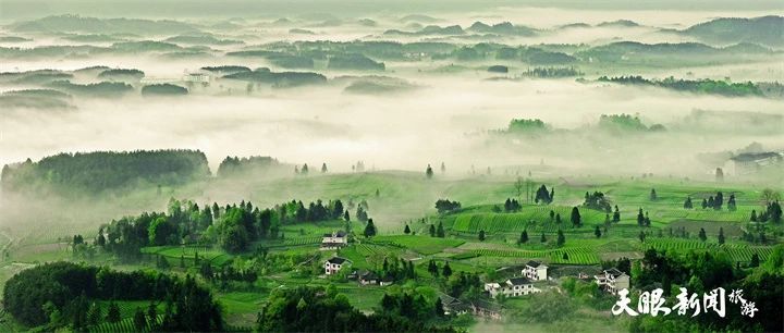 关于春游贵州，遵义凤冈茶海之心景区梦幻清晨美图来袭的相关内容