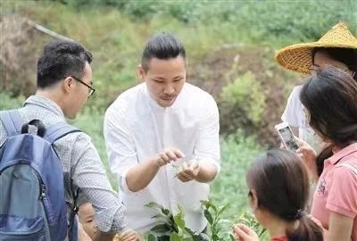 有关于两岸同根同源，福建漳平永福与台湾阿里山展开茶业交流合作的信息(3)