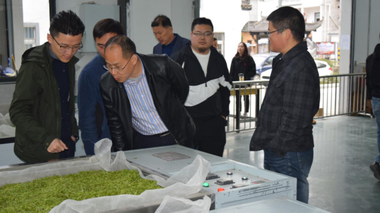 有关于江南第一茶市（峨桥）与中国名茶之都（黄山）联手合作的消息