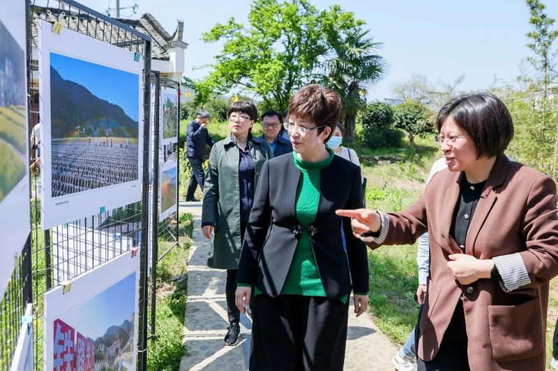 关于2023祁红采摘节暨“品鉴祁门红茶·共享人类非遗”祁红万里行正式启动的内容