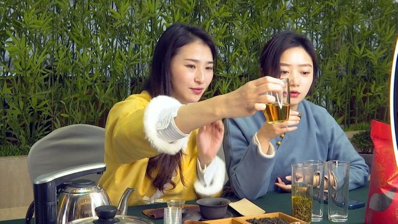 关于凤冈：“六万行动”助推茶产业高质量发展的信息(4)