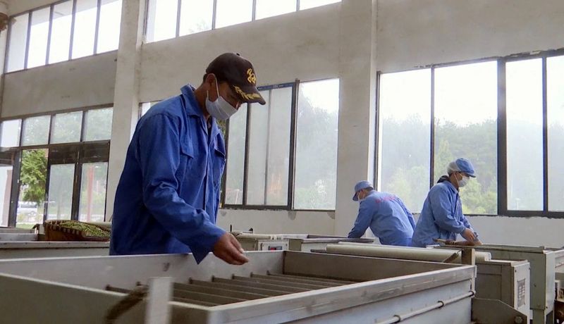 关于凤冈：“六万行动”助推茶产业高质量发展的信息(3)