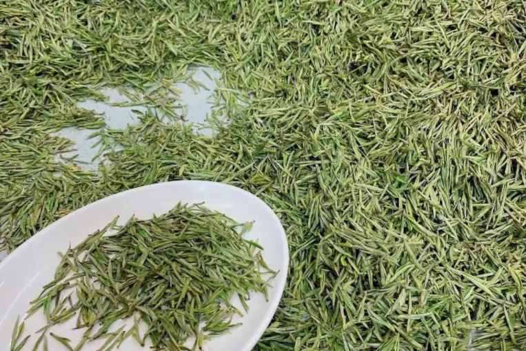 有关于安吉白茶多少钱一斤的最新消息(1)