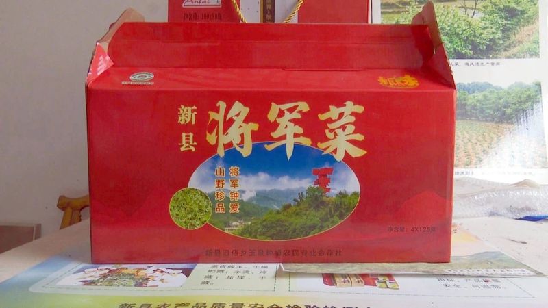 关于新县:采摘“将军菜” 不负好春光的相关信息