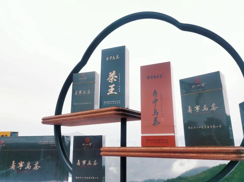 关于“寿宁乌茶”正式发布！看见茶产区品牌建设与文旅发展的多维探索的最新消息(5)