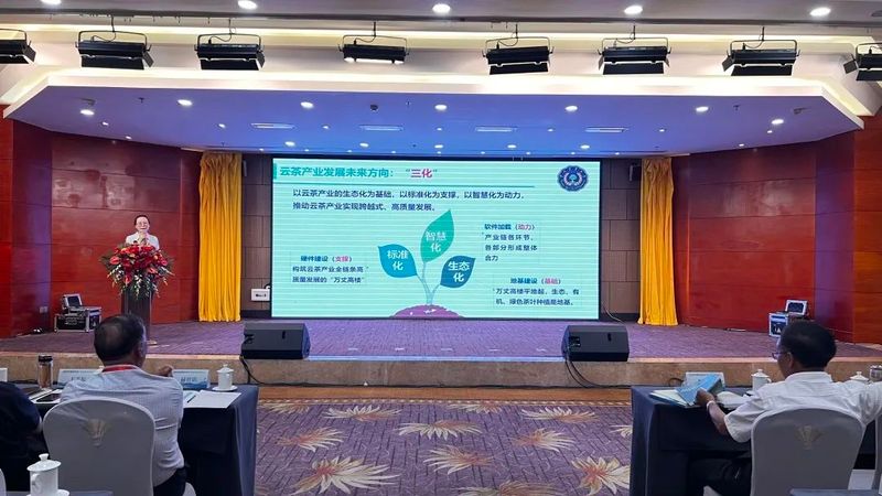 关于2023年景洪市茶产业发展高峰论坛举办的内容(2)
