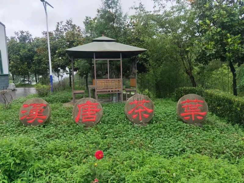 有关于勉县、宁强茶事活动轮番上演的资讯(1)