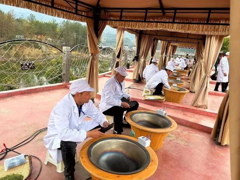 有关于勉县、宁强茶事活动轮番上演的资讯(9)