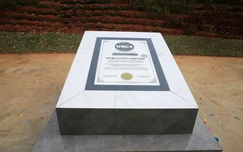 有关于采茶啦！世界茶海首届“开采节”暨亚洲象文旅创意园开园的最新消息(4)