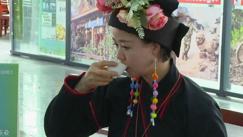 有关于采茶啦！世界茶海首届“开采节”暨亚洲象文旅创意园开园的最新消息(12)