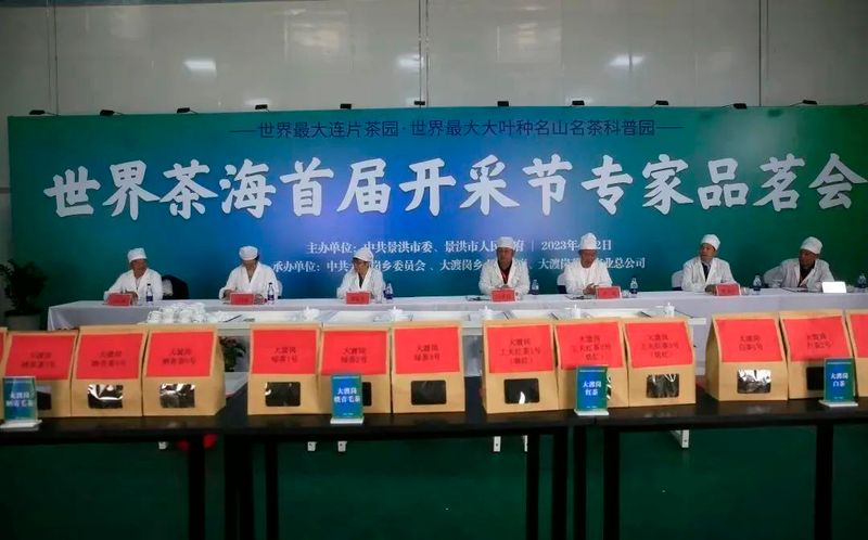 有关于采茶啦！世界茶海首届“开采节”暨亚洲象文旅创意园开园的最新消息(10)