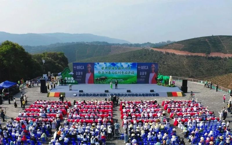 有关于采茶啦！世界茶海首届“开采节”暨亚洲象文旅创意园开园的最新消息
