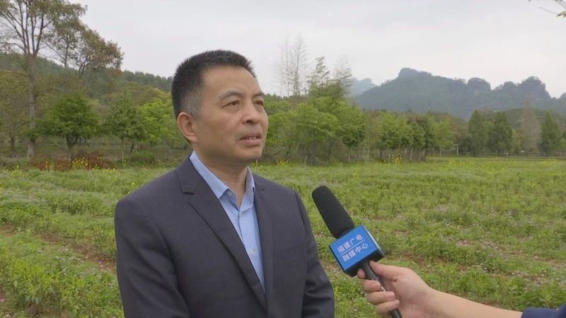 关于推广“绿肥茶园”理念 推动管护技术生态转型发展的最新消息(4)