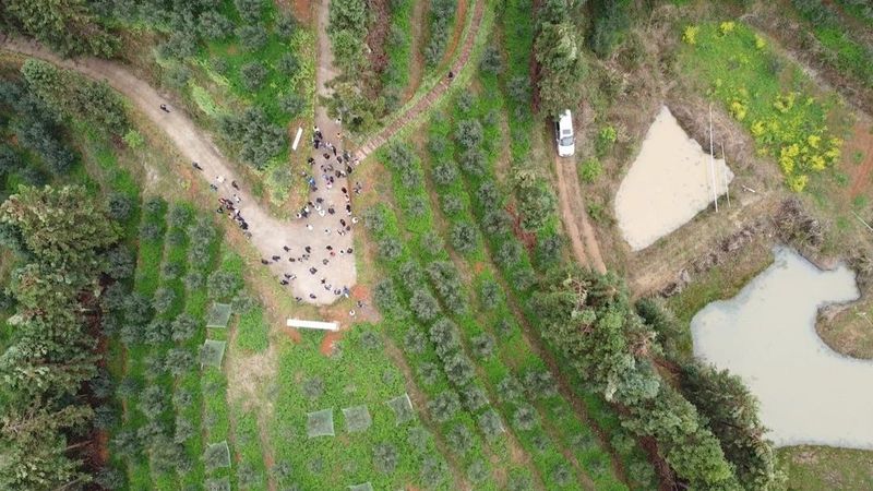 关于推广“绿肥茶园”理念 推动管护技术生态转型发展的最新消息(5)