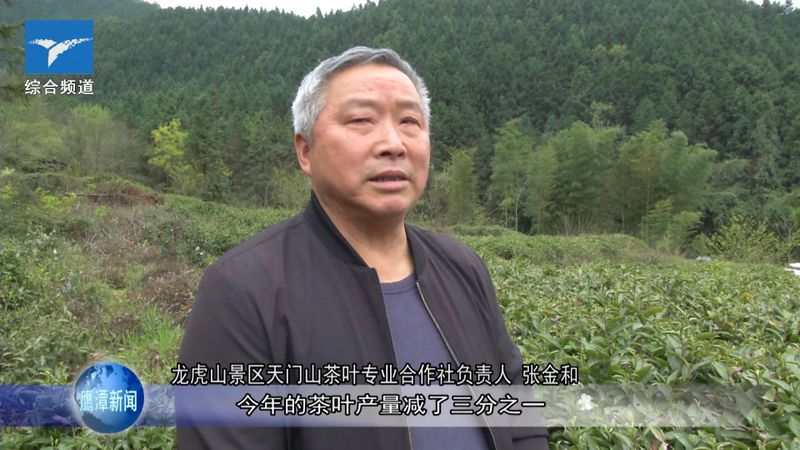 关于龙虎山上清镇：茶产业助力兴农富民的信息