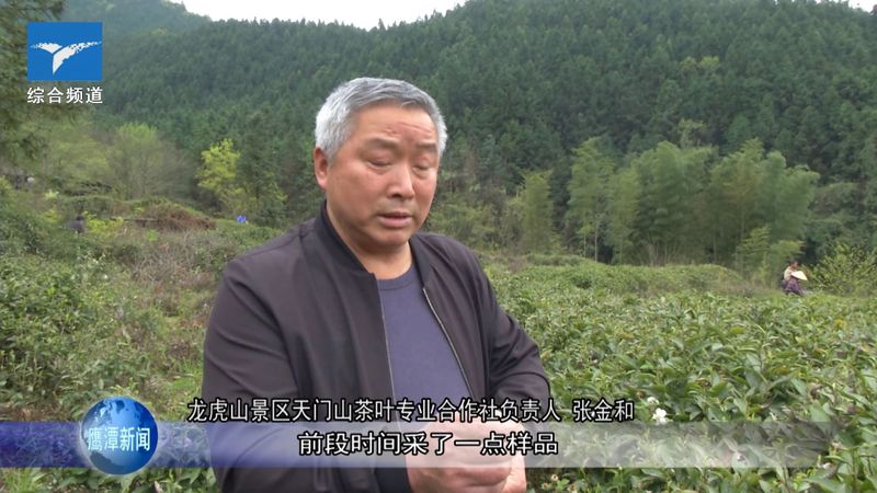 关于龙虎山上清镇：茶产业助力兴农富民的信息(3)