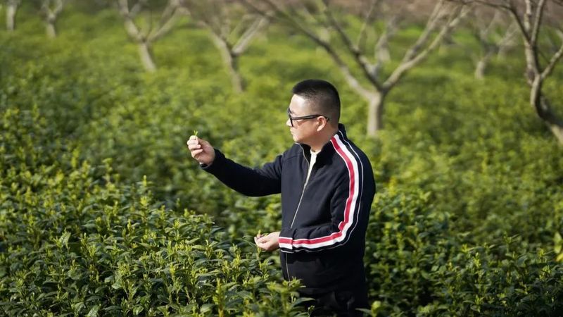 有关于溧阳茶产业的“科技范儿”的最新消息(4)