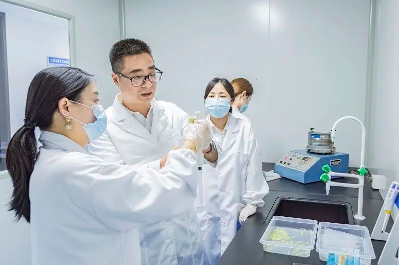 有关于溧阳茶产业的“科技范儿”的最新消息(1)