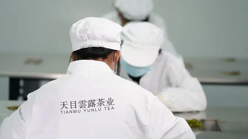 有关于溧阳茶产业的“科技范儿”的最新消息(3)