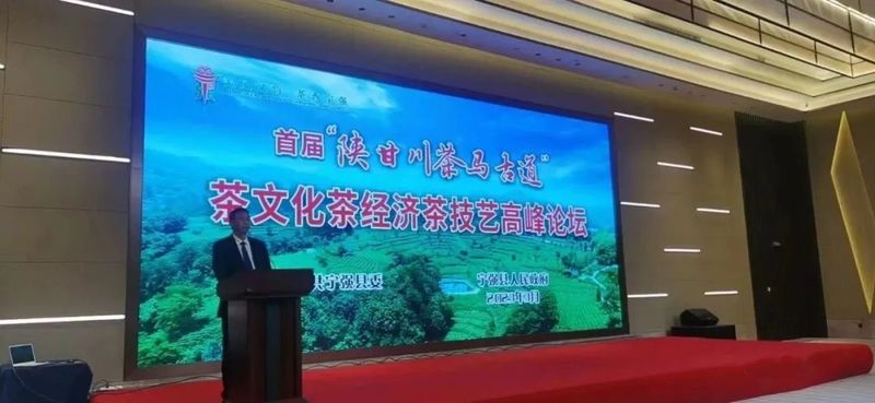 关于宁强县首届“陕甘川茶马古道”茶文化茶经济茶技艺高峰论坛圆满举行的相关内容(1)