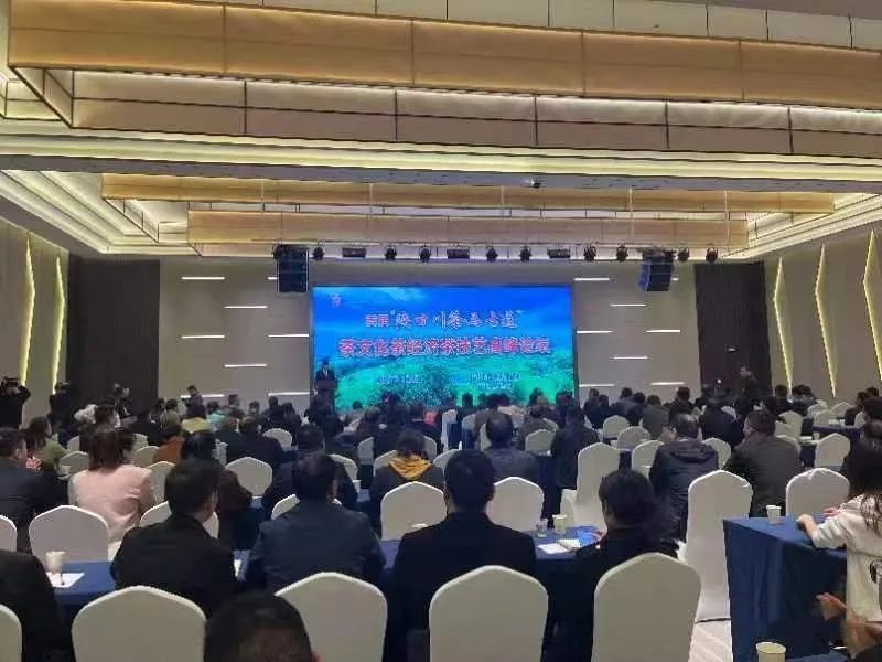 关于宁强县首届“陕甘川茶马古道”茶文化茶经济茶技艺高峰论坛圆满举行的相关内容