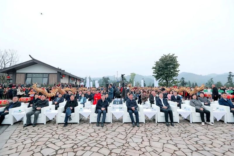 关于中国·沐川紫茶节开幕 助力茶叶“破圈”的最新消息(3)