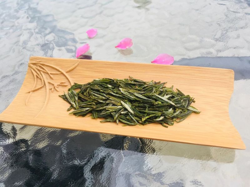 关于南郑篇---别忘了，你也是春天的一部分，一起去茶园踏青吧！的相关内容(20)