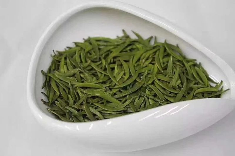 关于南郑篇---别忘了，你也是春天的一部分，一起去茶园踏青吧！的相关内容(8)