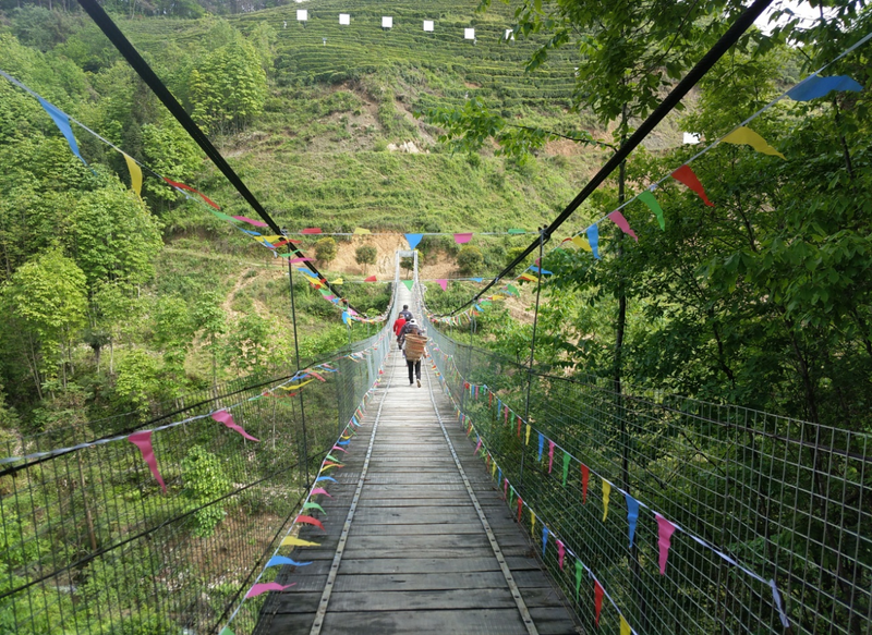 关于南郑篇---别忘了，你也是春天的一部分，一起去茶园踏青吧！的相关内容(3)