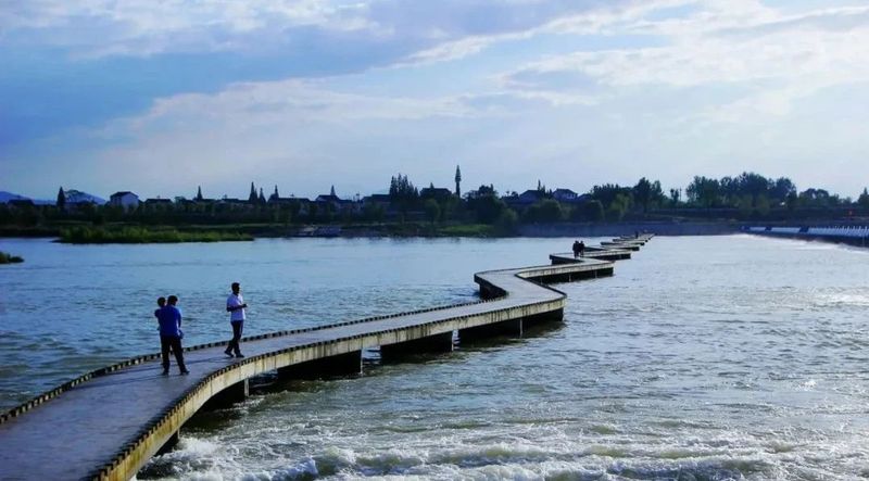 关于南郑篇---别忘了，你也是春天的一部分，一起去茶园踏青吧！的相关内容(26)