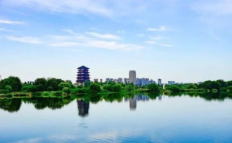 关于南郑篇---别忘了，你也是春天的一部分，一起去茶园踏青吧！的相关内容(23)