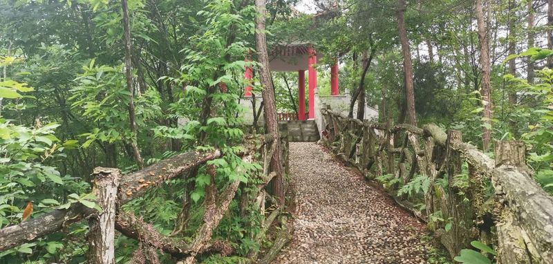 关于南郑篇---别忘了，你也是春天的一部分，一起去茶园踏青吧！的相关内容(4)