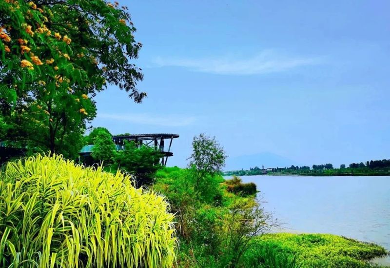 关于南郑篇---别忘了，你也是春天的一部分，一起去茶园踏青吧！的相关内容(24)