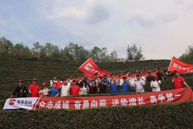 关于南郑篇---别忘了，你也是春天的一部分，一起去茶园踏青吧！的相关内容(2)